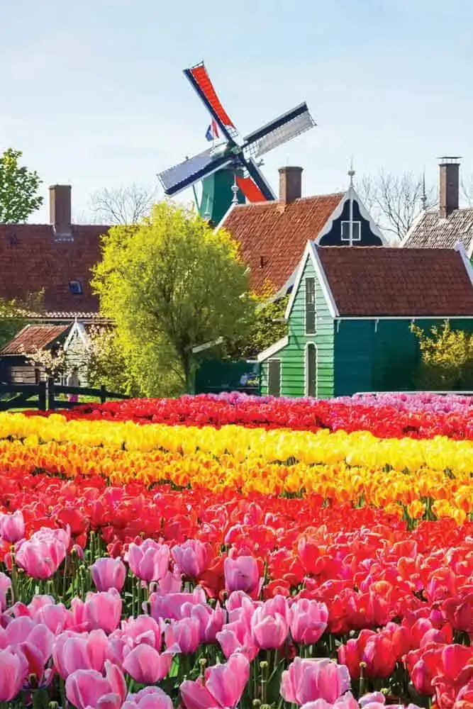 Keukenhof-Spring